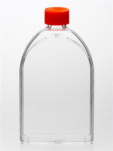 1012632 | Flask 150cm2 Canted Neck 50/cs